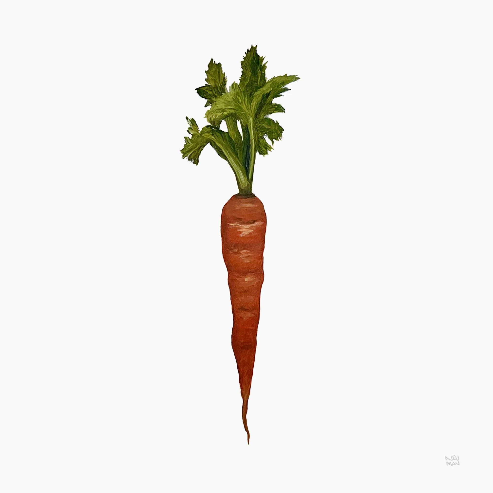 "Simple Carrot"
